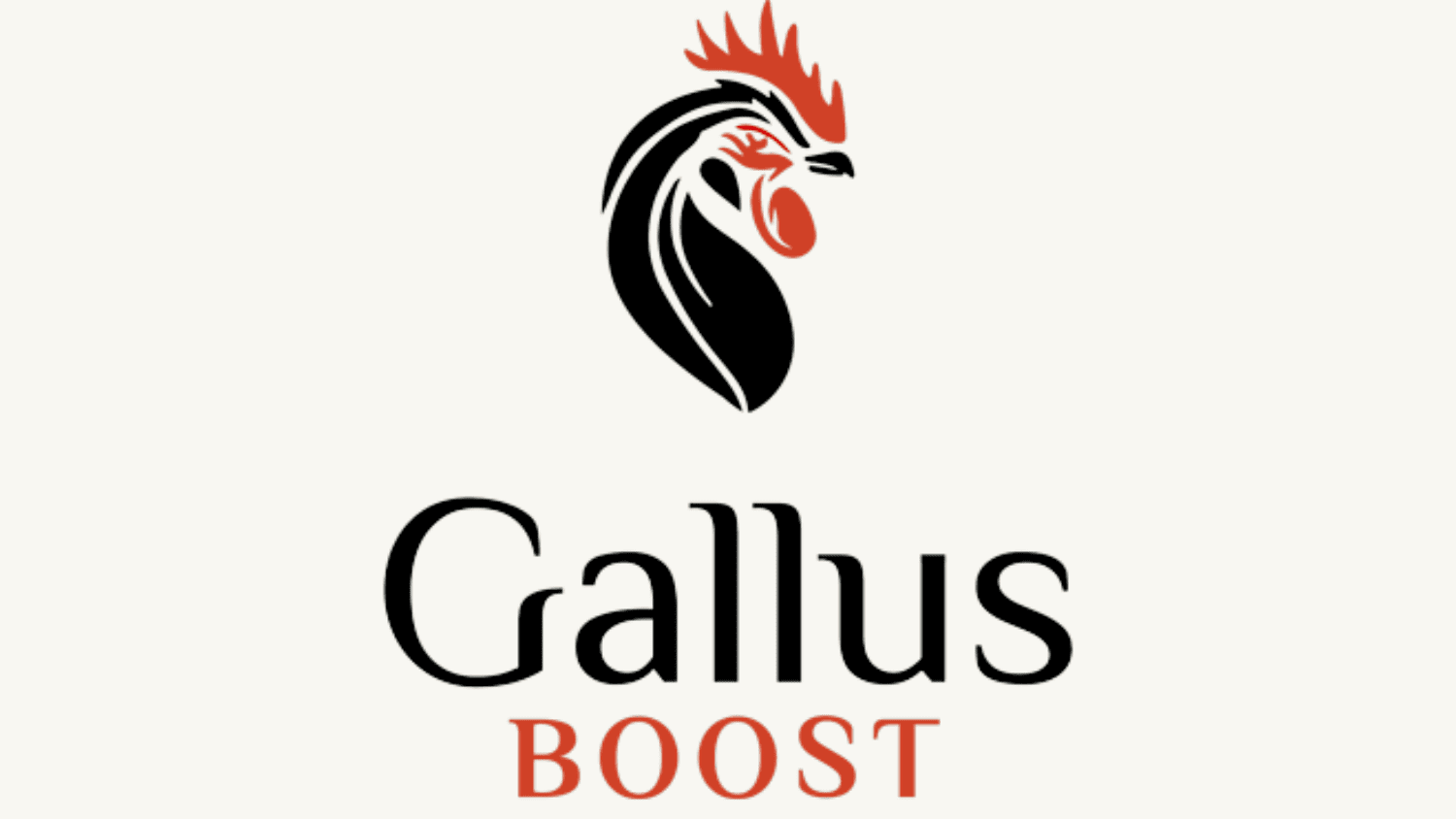 Gallus BOOST Marketing