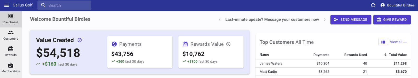 Customer Dashboard with revenue values