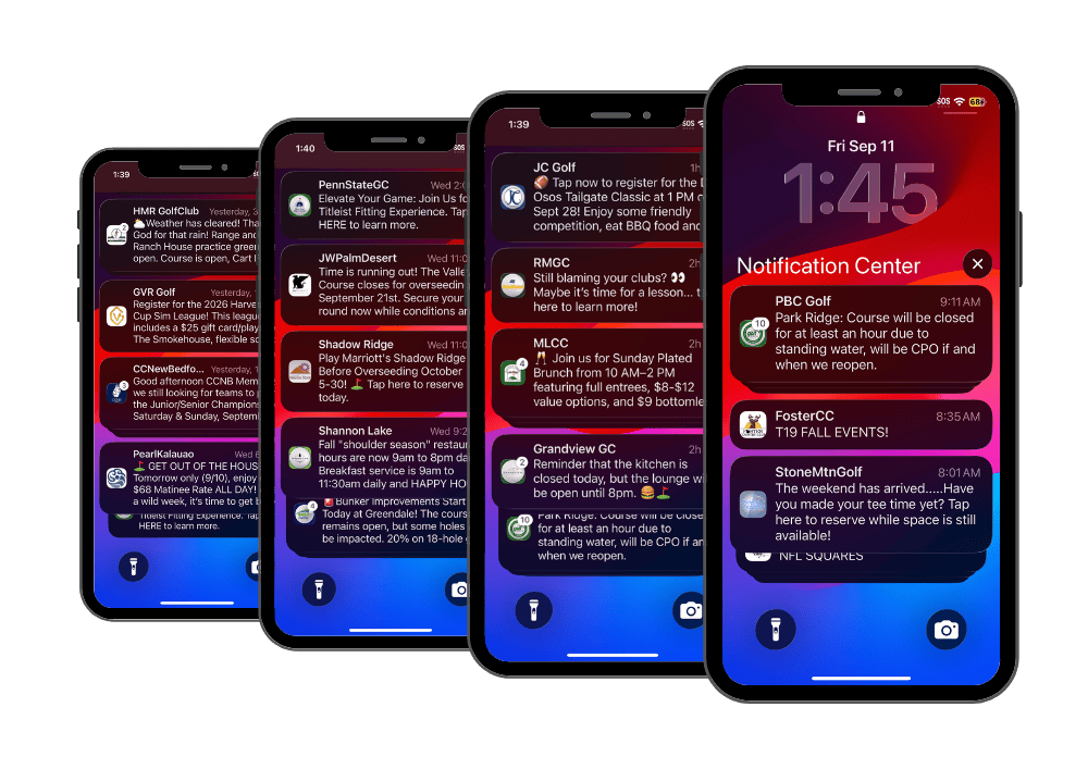 Push Notification, custom mobile app feature