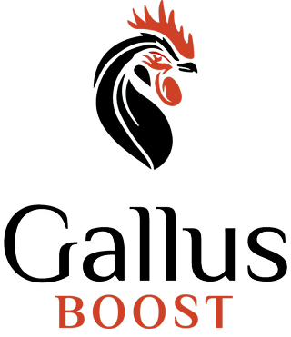 Gallus BOOST Marketing